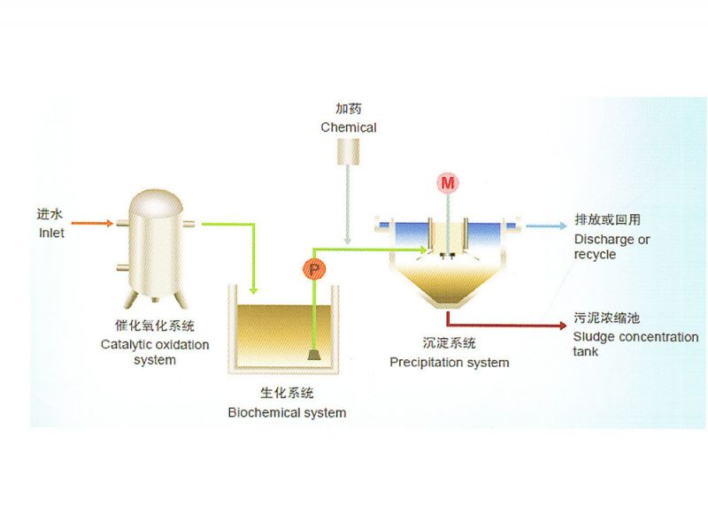 催化劑