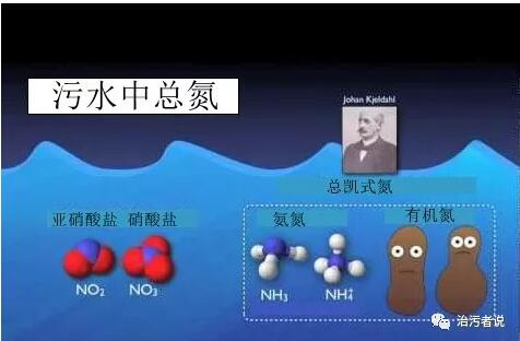 污水廠的總氮的去除(1)725