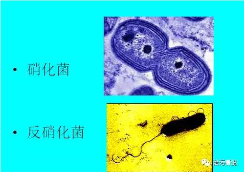 污水廠的總氮的去除(1)1644