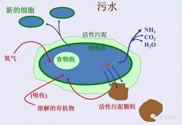 投加碳源的三大因素539